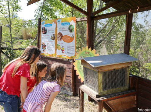Una giornata di dolcezza con Conapi