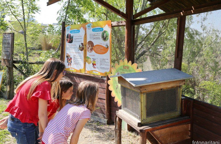 Una giornata di dolcezza con Conapi