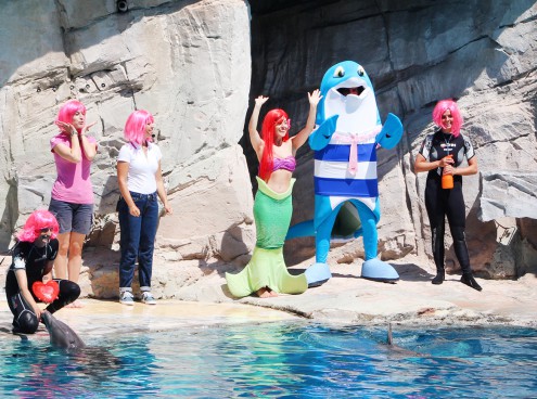 Ai parchi Costa la Notte Rosa è arrivata in anticipo!