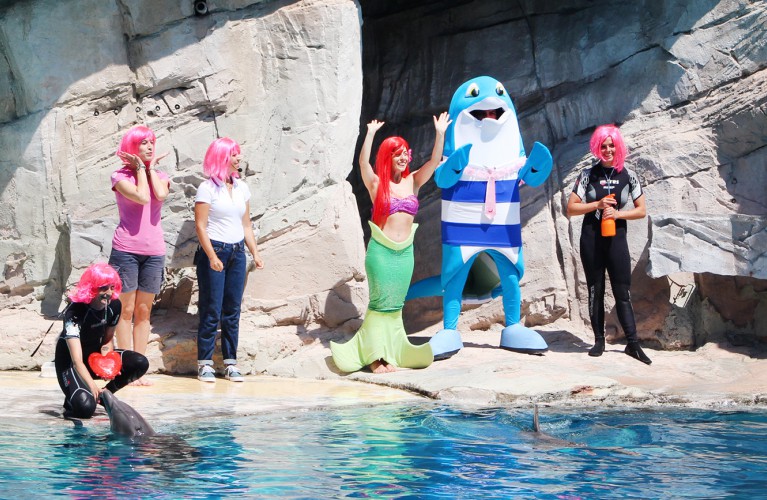 Ai parchi Costa la Notte Rosa è arrivata in anticipo!