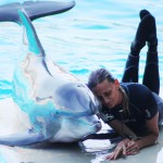 Ai parchi Costa la Notte Rosa è arrivata in anticipo!