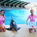 Ai parchi Costa la Notte Rosa è arrivata in anticipo!