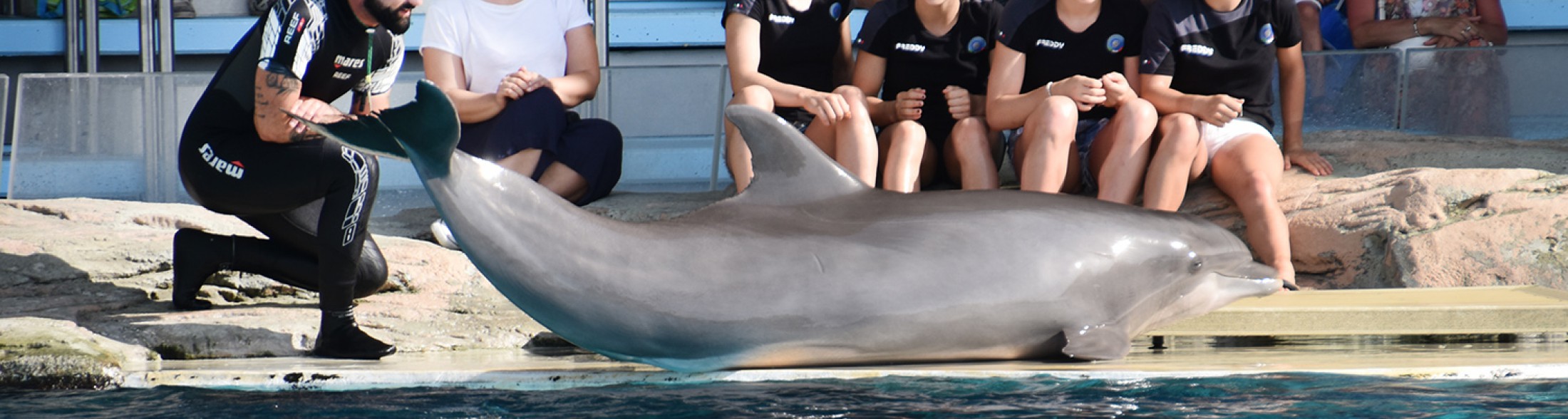 Le fate della Nazionale di Ginnastica artistica in Laguna