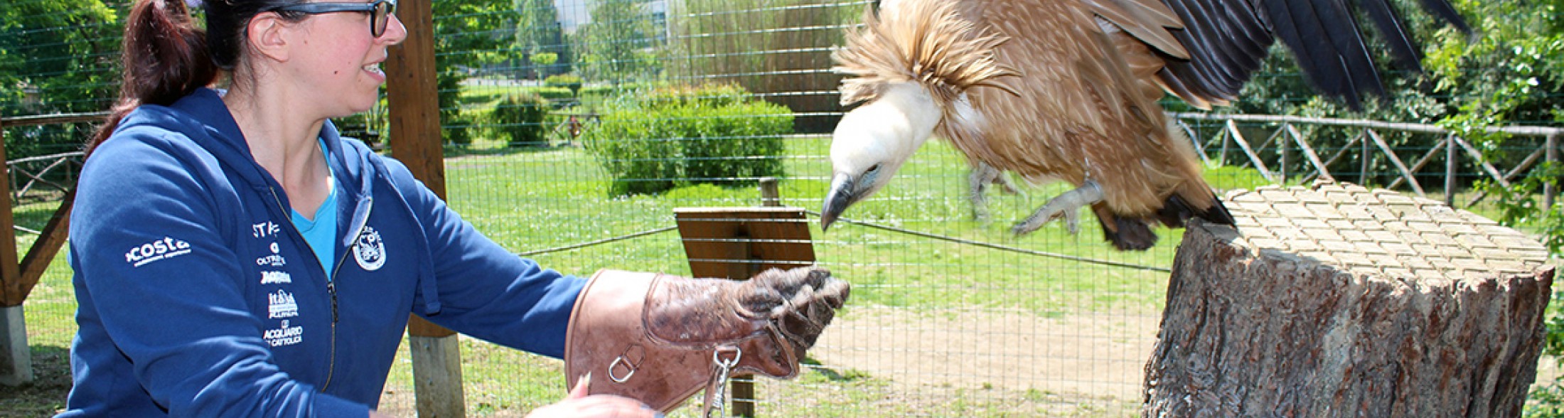 Jackie, la femmina di grifone star di Oltremare