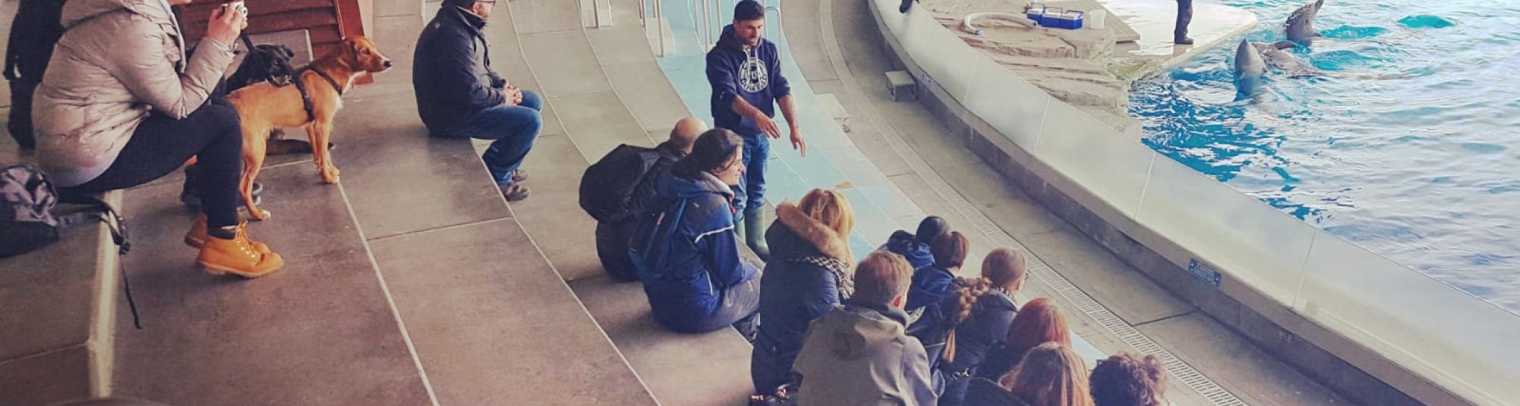 Istruttori cinofili a lezione da trainer, keeper e falconoieri di Oltremare