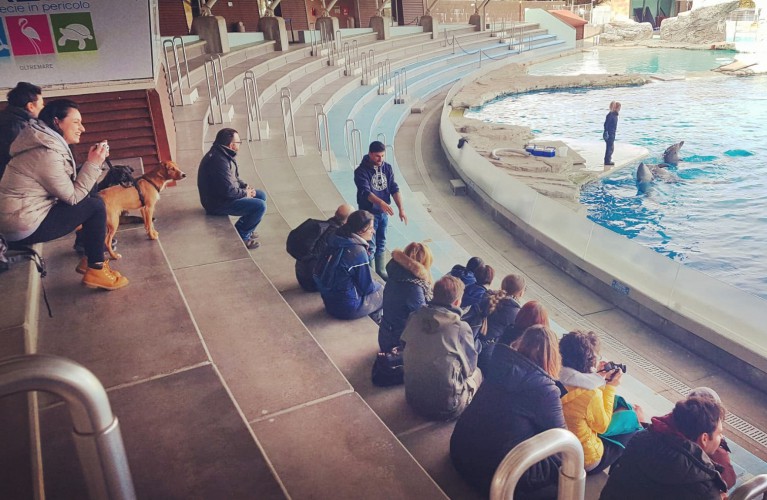 Istruttori cinofili a lezione da trainer, keeper e falconoieri di Oltremare