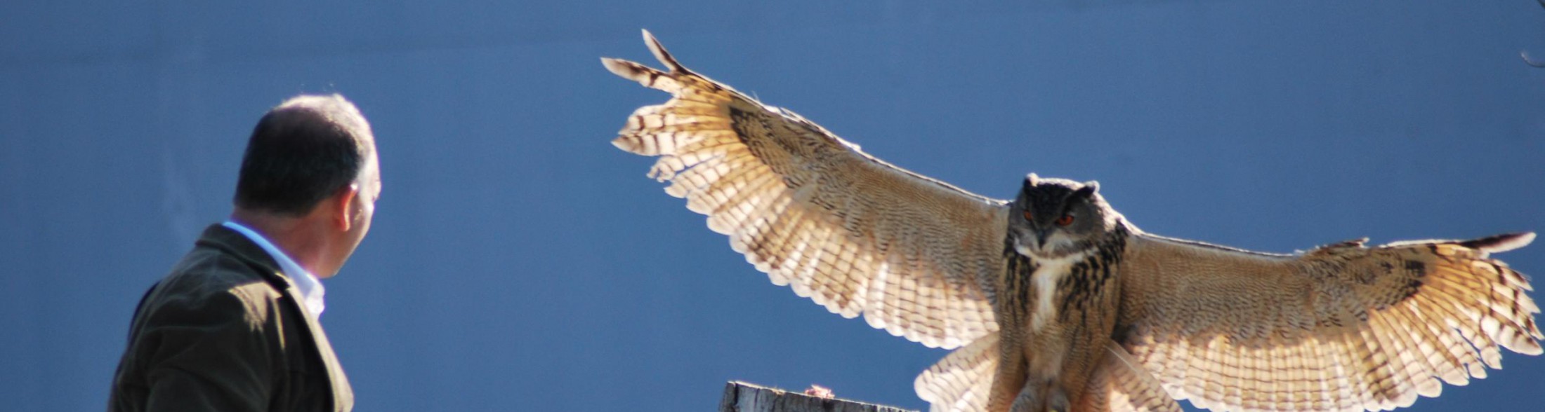 Cinque parchi del gruppo Costa Edutainment premiati come “Migliori d’Italia