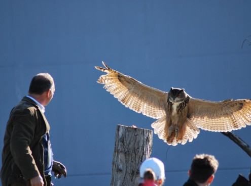 Cinque parchi del gruppo Costa Edutainment premiati come “Migliori d’Italia