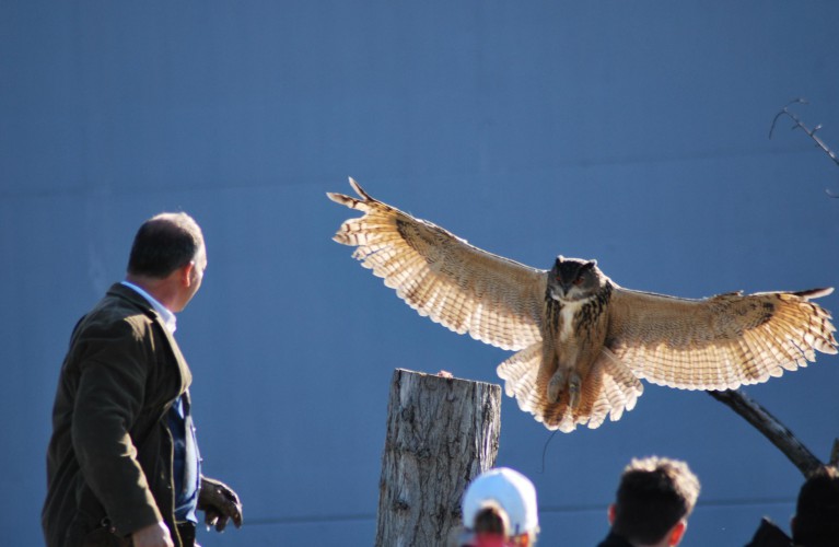 Cinque parchi del gruppo Costa Edutainment premiati come “Migliori d’Italia