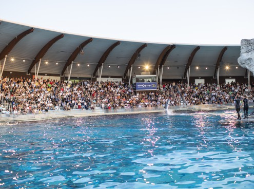 A Oltremare festa per i 70 anni di Scm Group