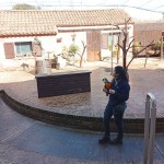 A Oltremare la formazione come ponte tra specie diverse con AlfaDog Training Academy