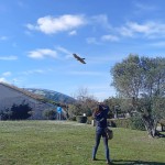 A Oltremare la formazione come ponte tra specie diverse con AlfaDog Training Academy