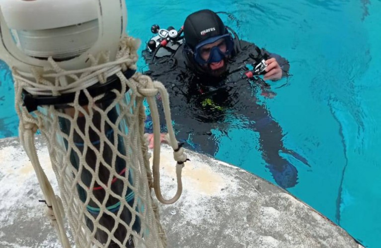A Oltremare si studia un algoritmo per salvare i delfini in natura