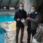 A Oltremare si studia un algoritmo per salvare i delfini in natura