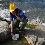A Rimini la prima scala di risalita per piccoli di anguille sul Fiume Marecchia