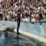 Al parco il più grande selfie d'Italia con i DinsiemE