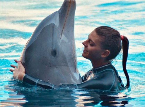 Black Days, sconti e promozioni sugli abbonamenti dei parchi Costa