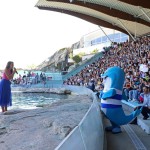 Carica di 4mila persone per i DinsiemE