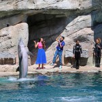 Carica di 4mila persone per i DinsiemE