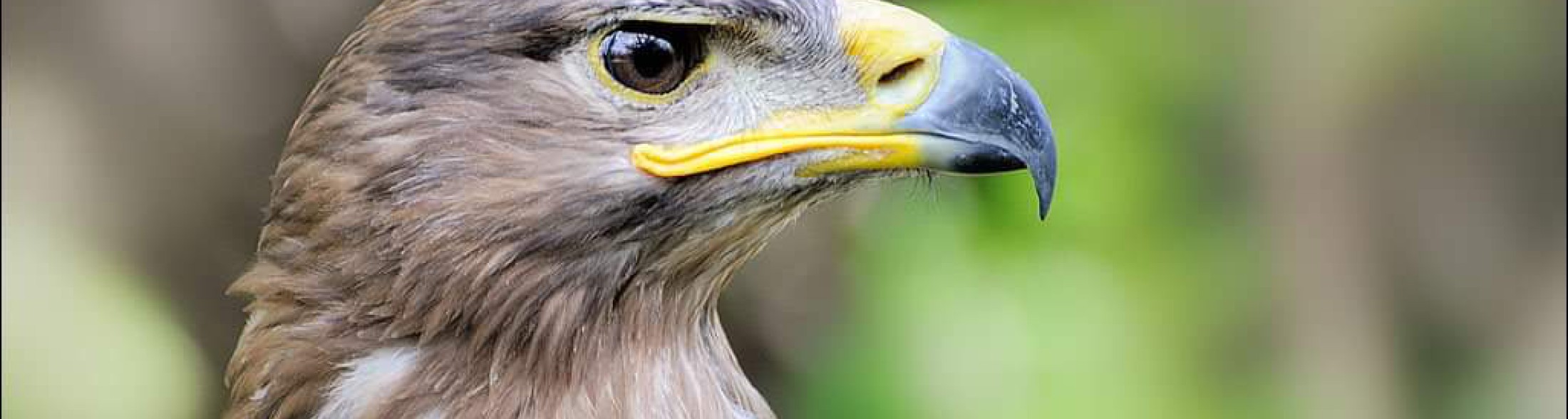 Costa Edutainment aderisce a Milluminodimeno 