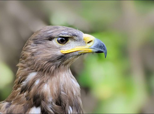 Costa Edutainment aderisce a Milluminodimeno 