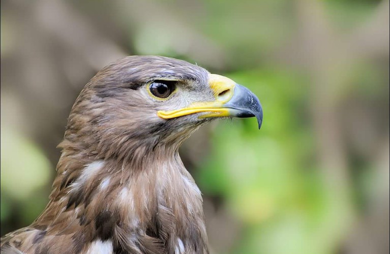 Costa Edutainment aderisce a Milluminodimeno 