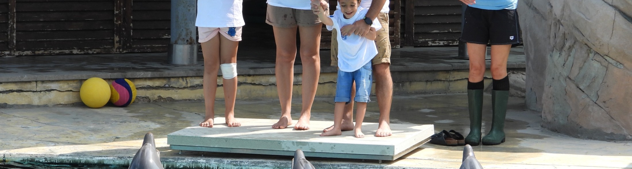 Dade e l'incontro con i delfini per parlare di malattie rare