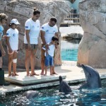 Dade e l'incontro con i delfini per parlare di malattie rare