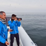 Delfini Metropolitani Adriatico: risultati di un anno di ricerca in mare