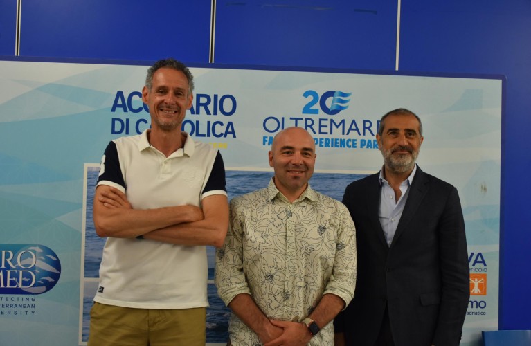 Delfini Metropolitani Adriatico: risultati di un anno di ricerca in mare