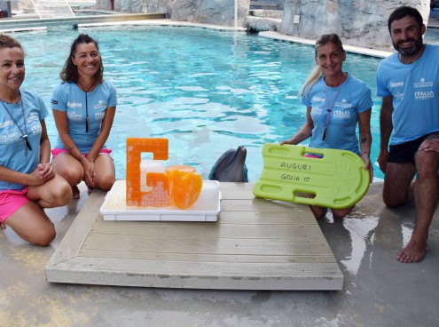 Festa per i 29 anni del delfino Golia