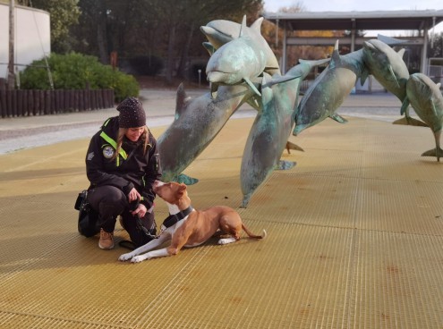 Formazione cinofila a Oltremare con la Protezione Civile