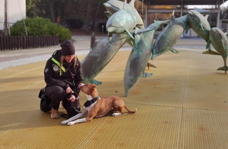 Formazione cinofila a Oltremare con la Protezione Civile