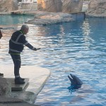 Formazione cinofila a Oltremare con la Protezione Civile