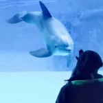 Formazione cinofila a Oltremare con la Protezione Civile