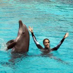 Gessica Notaro tra i delfini, tanti i fan arrivati da tutta Italia 