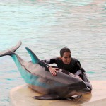 Gessica Notaro tra i delfini, tanti i fan arrivati da tutta Italia 