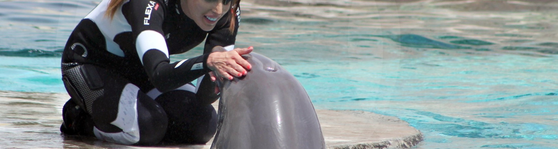 Gessica Notaro tra i delfini, tanti i fan arrivati da tutta Italia 