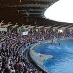 Halloween 2025: I Giorni del Brivido nei Parchi COSTA  