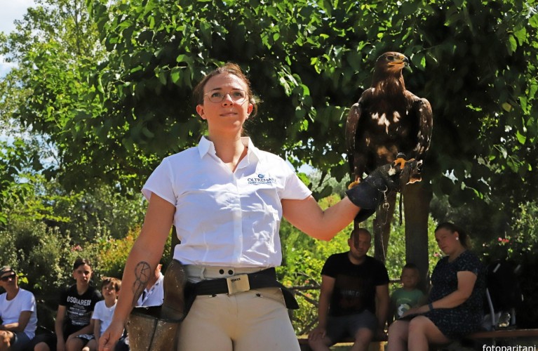 I guardiani di zoo d'Italia arrivano a Oltremare per un corso di formazione sulla gestione rapaci