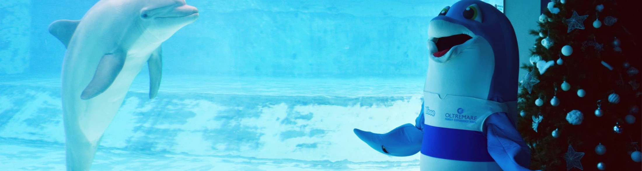 I Parchi Costa Edutainment annunciano l'apertura fino al 6 gennaio