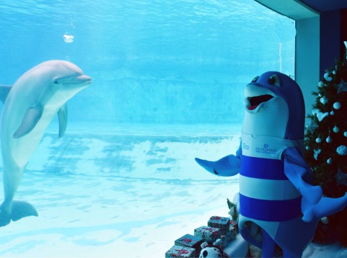 I Parchi Costa Edutainment annunciano l'apertura fino al 6 gennaio