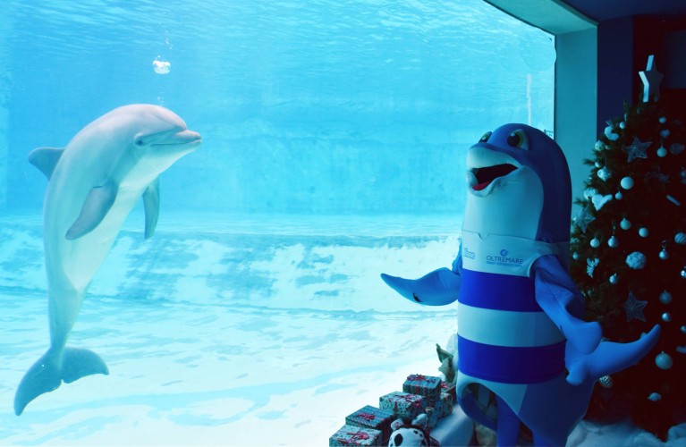 I Parchi Costa Edutainment annunciano l'apertura fino al 6 gennaio