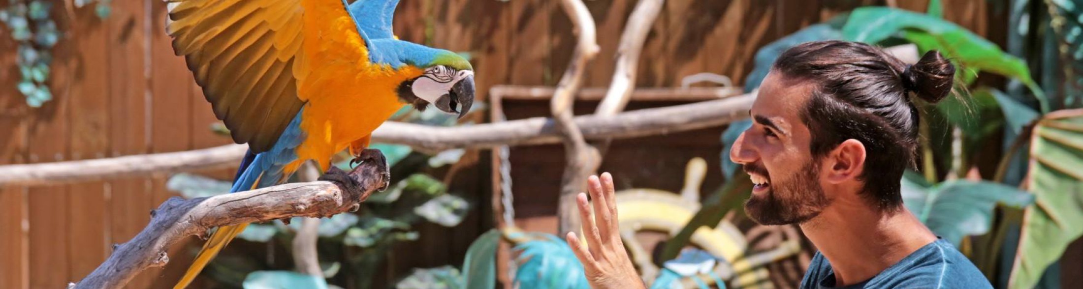 I Parchi Costa riaprono: 18 marzo Italia in Miniatura, 1 aprile Oltremare e Acquario di Cattolica. Dal 1° giugno Aquafan