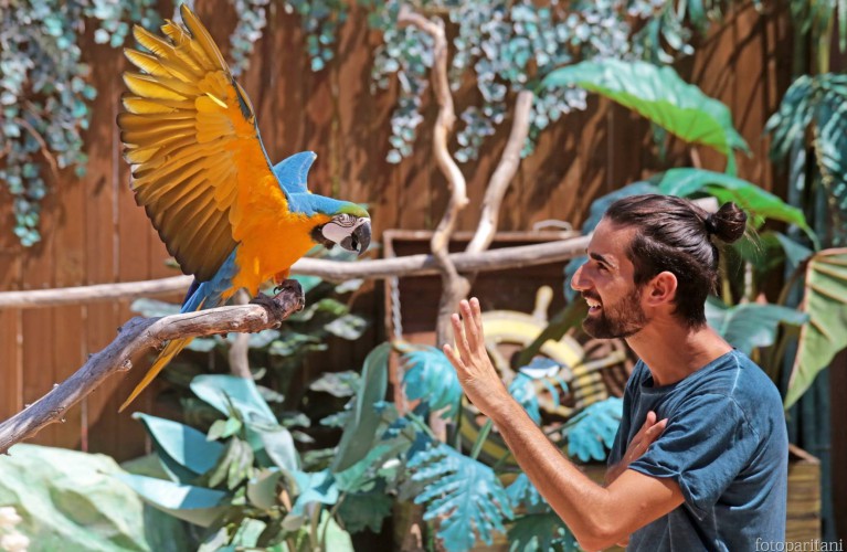 I Parchi Costa riaprono: 18 marzo Italia in Miniatura, 1 aprile Oltremare e Acquario di Cattolica. Dal 1° giugno Aquafan