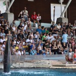 In centinaia per LaSabri e Pika 