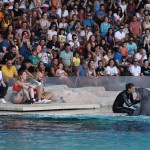 In centinaia per LaSabri e Pika 