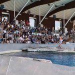 In centinaia per LaSabri e Pika 