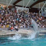 In centinaia per LaSabri e Pika 