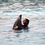 La delfina Mia compie 14 anni, ambasciatrice di progetti di ricerca